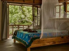 Monkey Mansion - Jungalows & Tours