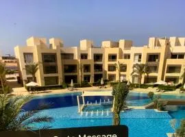 Elgouna Hurghada egypt mangroovy