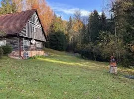 Apartmán u vleku