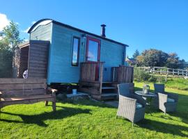 The Shepherds Hut at Forestview Farm, bed and breakfast en Greenisland