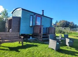 The Shepherds Hut at Forestview Farm