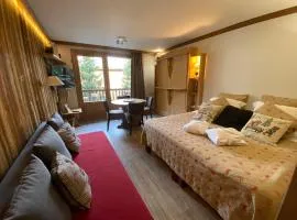 Résidence CHALET DE SOLAISE - Studio 30 m2 - by MONTBLANC LODGE