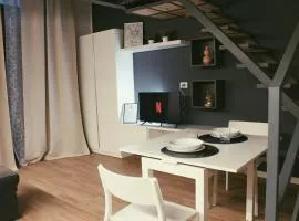 YR Apartments Milan - Città Studi