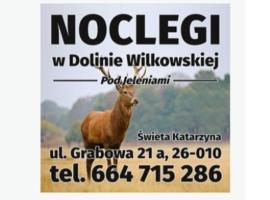 Noclegi Świętokrzyskie w Dolinie Wilkowskiej,, Pod Jeleniami "prawdziwymi – hotel w miejscowości Święta Katarzyna