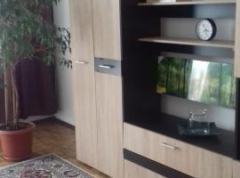 Apartament 2 camere Blaj Str Avram Iancu Bl 9, hotel in Blaj