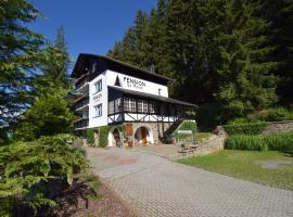 Pension St. Moritz, hotel i Železná Ruda