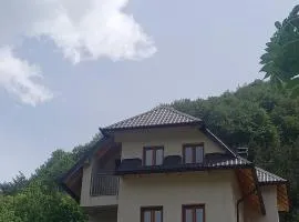 Apartmani Jelenača