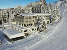 Hotel Alpenrose Gerlitzen、トレフェンのホテル