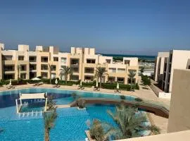 Elgouna Hurghada egypt mangroovy