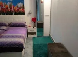 Apartment Voortex