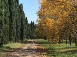 Capilla-Casa de campo