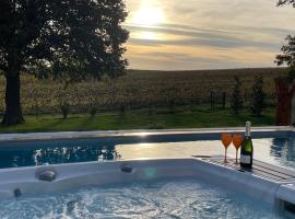 Best view, pool and spa on the Champagne vineyard, camera con cucina a Saint-Thierry