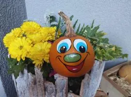 Pension Temizdemir