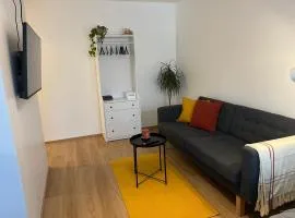 Cosy apartment in the heart of Lahti, free parking