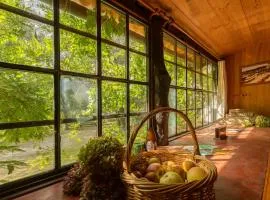 Chalé da Quinta "Lavoura da Bouça - Fruta Bio"