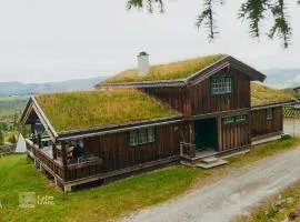 Grand cabin Nesfjellet lovely view Jacuzzi sauna