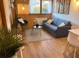 Au Petit Flocon - Appartement 3 pièces, central et proche pistes - parking privé et wifi