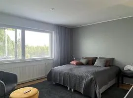 Studiohuoneisto Liisankatu