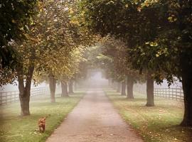 Potcote farm stables accommodation fudges stable, hotel em Towcester