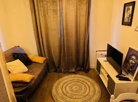LA VILLA DEKO - Studio avec parking proche Université et Hôpital