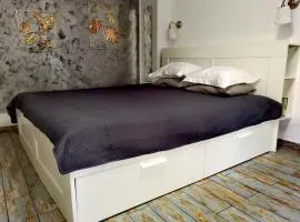 Stay In Tmisoara