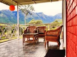 The Wild Fo'rest Resorts
