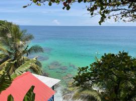 Tesoro Escondido Lodge & Cabinas，位于博卡斯德尔托罗的山林小屋