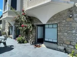 Au coeur des Alpes 3