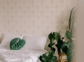 LáVuTa Home