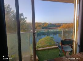 Petit cocon vue sur la Loire avec Place de Parking offerte