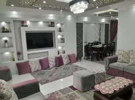 luxury apartment شقه فخمه بالاسكندرية