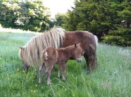 Cosy cabin for two, self catering accommodation in Truro