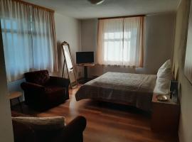Altes Bootshaus, hotel with parking in Torgau