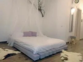 Cluj City Iris Appartment