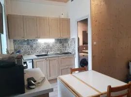 Studio rénové pour 4 pers à 50m du télécabine - FR-1-234-293