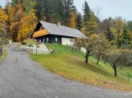 Ferienhaus Wuttijockl