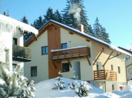 Pension Lenka 1, guest house in Harrachov