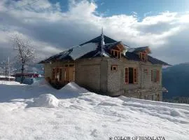 Loghouse at khajjiar lake