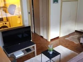 grand studio dans une résidence prive avec une cuisine et salle de bain séparé un parking gratuit et une magnifique vue sur les montagness