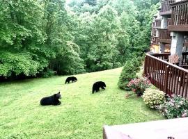 VIEWS & POOL - Minutes to Gburg and Ober - Condo, hôtel à Gatlinburg