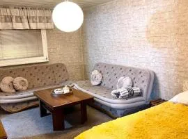 Airport Sarajevo Apartment 2