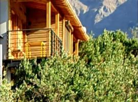 Cordillera Flora endógena Bosque Esclerófilo, cabin in San José de Maipo