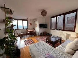 Spacious comfortable flat with splendid view