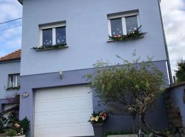 Maison d’hôtes Au pied du Château, hotel in Saverne