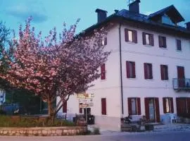 Casa Ciccarelli