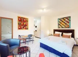 Spacious studio in a nice area in Sierre