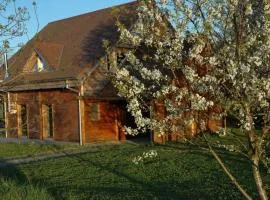 Chalet familial avec piscine, jardin et activités près du vignoble de Saint-Pourçain - FR-1-489-151