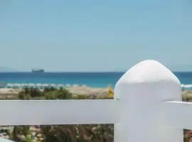 Blueberry Villa