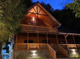 V13 Wild Cabin - Traditional mountain cabin with cosy modern rooms, villa i Gura Teghii