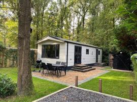 Beautiful chalet in the woods with a shared pool, hotell med parkeringsplass i Vledder